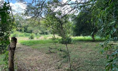FINCA CAMPESTRE POTRERITO JAMUNDÍ