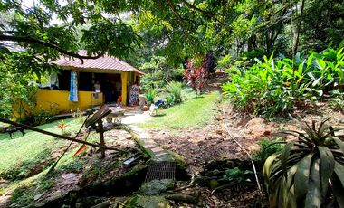 Finca con increíble vista al llano