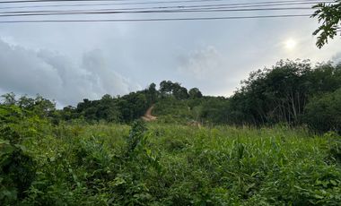 9 rai of flat land next to the main road for sale in Takua tung, Phangnga