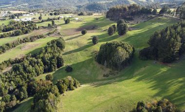 Campo de 7 hectáreas en venta en Fresia