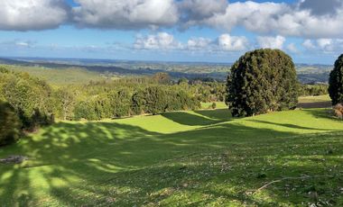 Campo de 7 hectáreas en venta en Fresia