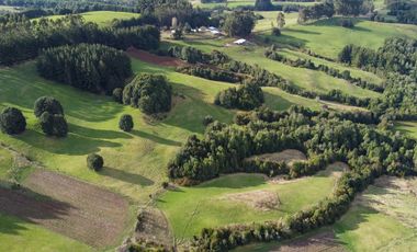 Campo de 7 hectáreas en venta en Fresia