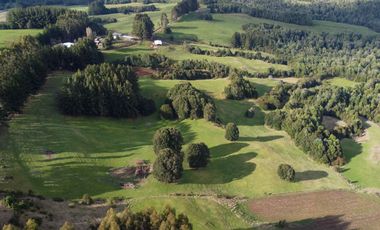 Campo de 7 hectáreas en venta en Fresia