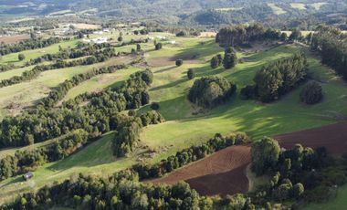 Campo de 7 hectáreas en venta en Fresia