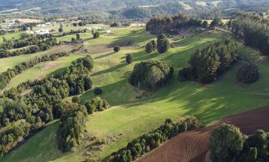 Campo de 7 hectáreas en venta en Fresia