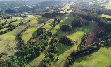 Campo de 7 hectáreas en venta en Fresia