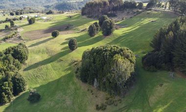 Campo de 7 hectáreas en venta en Fresia