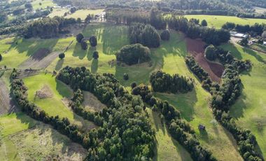 Campo de 7 hectáreas en venta en Fresia