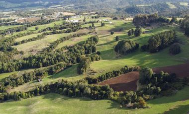 Campo de 7 hectáreas en venta en Fresia