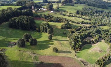 Campo de 7 hectáreas en venta en Fresia