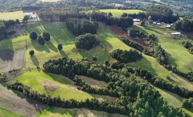 Campo de 7 hectáreas en venta en Fresia