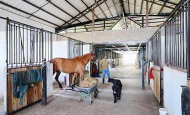 EN VENTA HACIENDA 60 HECTAREAS 20 MIN DEL AEROPUERTO DE QUITO