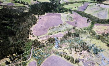 EN VENTA HACIENDA 60 HECTAREAS 20 MIN DEL AEROPUERTO DE QUITO