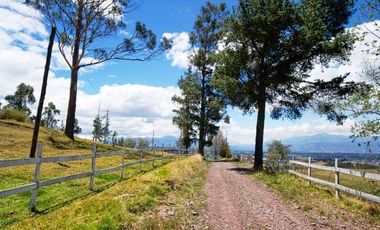 EN VENTA HACIENDA 60 HECTAREAS 20 MIN DEL AEROPUERTO DE QUITO