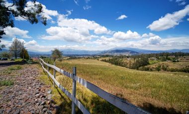 EN VENTA HACIENDA 60 HECTAREAS 20 MIN DEL AEROPUERTO DE QUITO