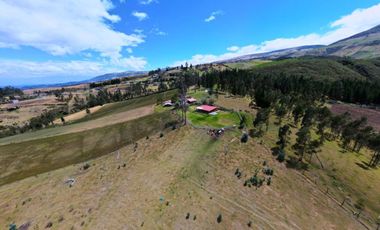 EN VENTA HACIENDA 60 HECTAREAS 20 MIN DEL AEROPUERTO DE QUITO