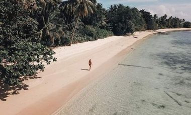 8,000 sqm Beach Front Lot Property for Sale at Daracutan Island El Nido Palawan