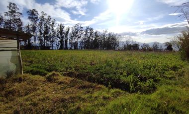 LOTE VENTA, STA ROSA DE CUSUBAMBA / A 10 MINUTOS DE GUAYLLABAMBA