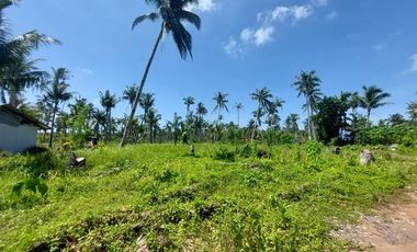 2,003 sqm Lot For Sale at Siargao Island