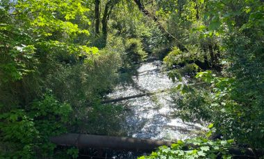 Z O N A S U R . C L   4 km la ciudad, colegios, minimarket, varios caminos de acceso y salida hacia distintas localidades de la zona