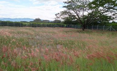 Lote en Venta, Ginebra