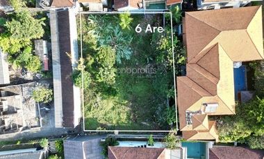 Prime Investment Opportunity, 600 sqm Land for Leasehold in Padonan
