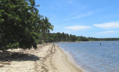 DYU - Puerto Princesa Palawan Beach Property for Sale! With 156 meter beach front