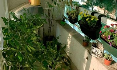 Venta De Excelente Departamento - Exequiel Fernandez Macul