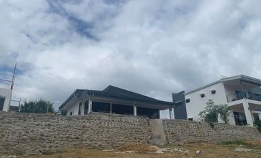 HOUSE AND LOT FOR SALE WITH OCEAN VIEW ID 14889