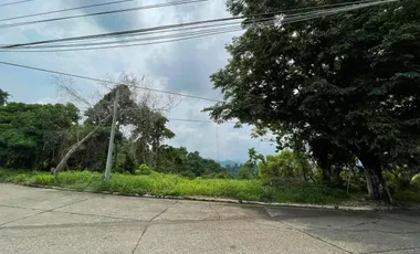 1,081 sqm Lot for Sale in Maria Luisa with Lush Mountain View