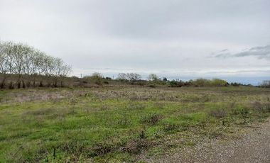 Parcelas en Talca, San Rafael V 1414-P-40-GR-08.22