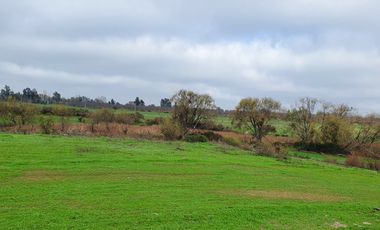 Parcelas en Talca, San Rafael V 1414-P-40-GR-08.22
