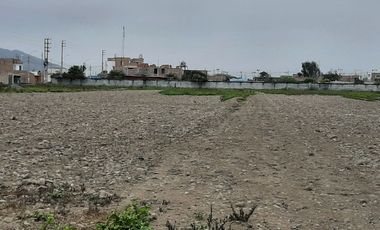 VENDO TERRENO EN CHANCAY MEGAPUERTO PAN NORTE KM 84