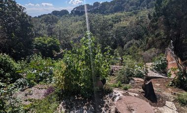 CASA VENTA ....Lomas de Atzingo Fracc. Del Bosque.