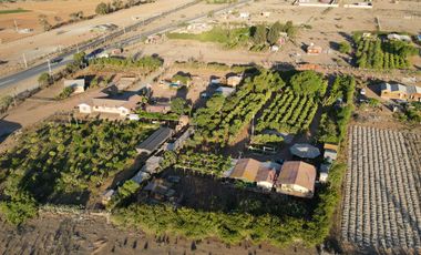 TERRENO PRODUCTIVO EN VENTA, SECTOR TAMBILLOS, COQUIMBO