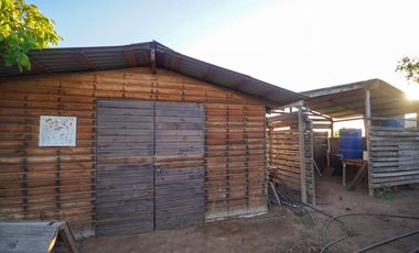 TERRENO PRODUCTIVO EN VENTA, SECTOR TAMBILLOS, COQUIMBO