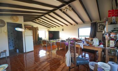 TERRENO PRODUCTIVO EN VENTA, SECTOR TAMBILLOS, COQUIMBO