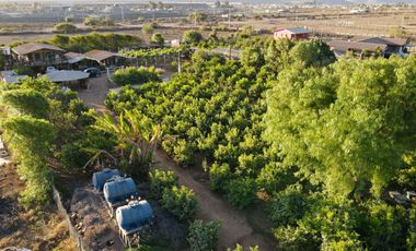 TERRENO PRODUCTIVO EN VENTA, SECTOR TAMBILLOS, COQUIMBO