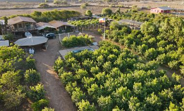TERRENO PRODUCTIVO EN VENTA, SECTOR TAMBILLOS, COQUIMBO