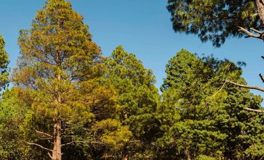 LOTE 604. RODEADO DE NATURALEZA. PROYECTO AVELLANEDA