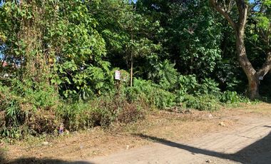 RESIDENTIAL LOT FOR SALE IN DUMAGUETE CITY ID 14885