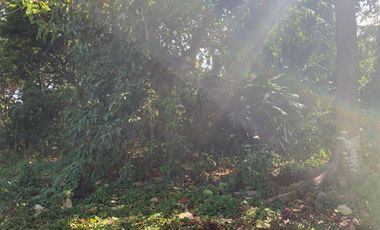 RESIDENTIAL LOT FOR SALE IN DUMAGUETE CITY ID 14885
