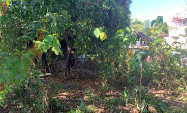 RESIDENTIAL LOT FOR SALE IN DUMAGUETE CITY ID 14885