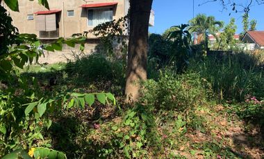 RESIDENTIAL LOT FOR SALE IN DUMAGUETE CITY ID 14885