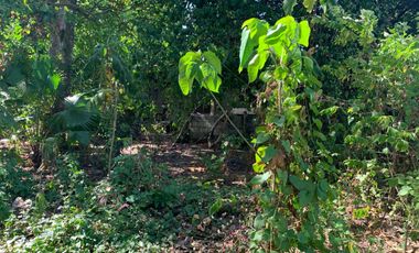 RESIDENTIAL LOT FOR SALE IN DUMAGUETE CITY ID 14885