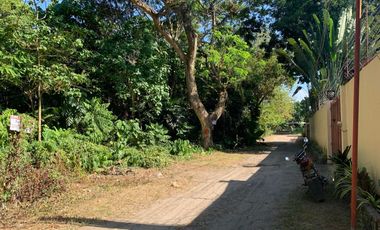 RESIDENTIAL LOT FOR SALE IN DUMAGUETE CITY ID 14885