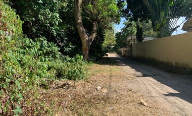 RESIDENTIAL LOT FOR SALE IN DUMAGUETE CITY ID 14885