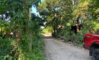 RESIDENTIAL LOT FOR SALE IN DUMAGUETE CITY ID 14885