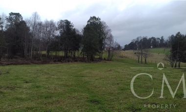 Parcela de 4,13 ha en Lago Ranco OPORTUNIDAD, REBAJADA 10%