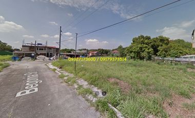 Residential Lot For Sale Near Sto. Domingo Elementary School Geneva Gardens Neopolitan VII